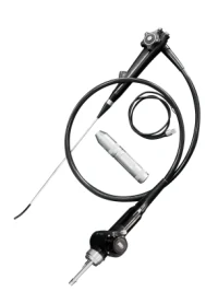 Flexible endoscopy