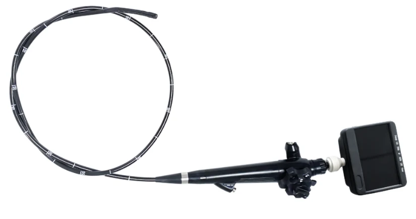 Flexible endoscopy