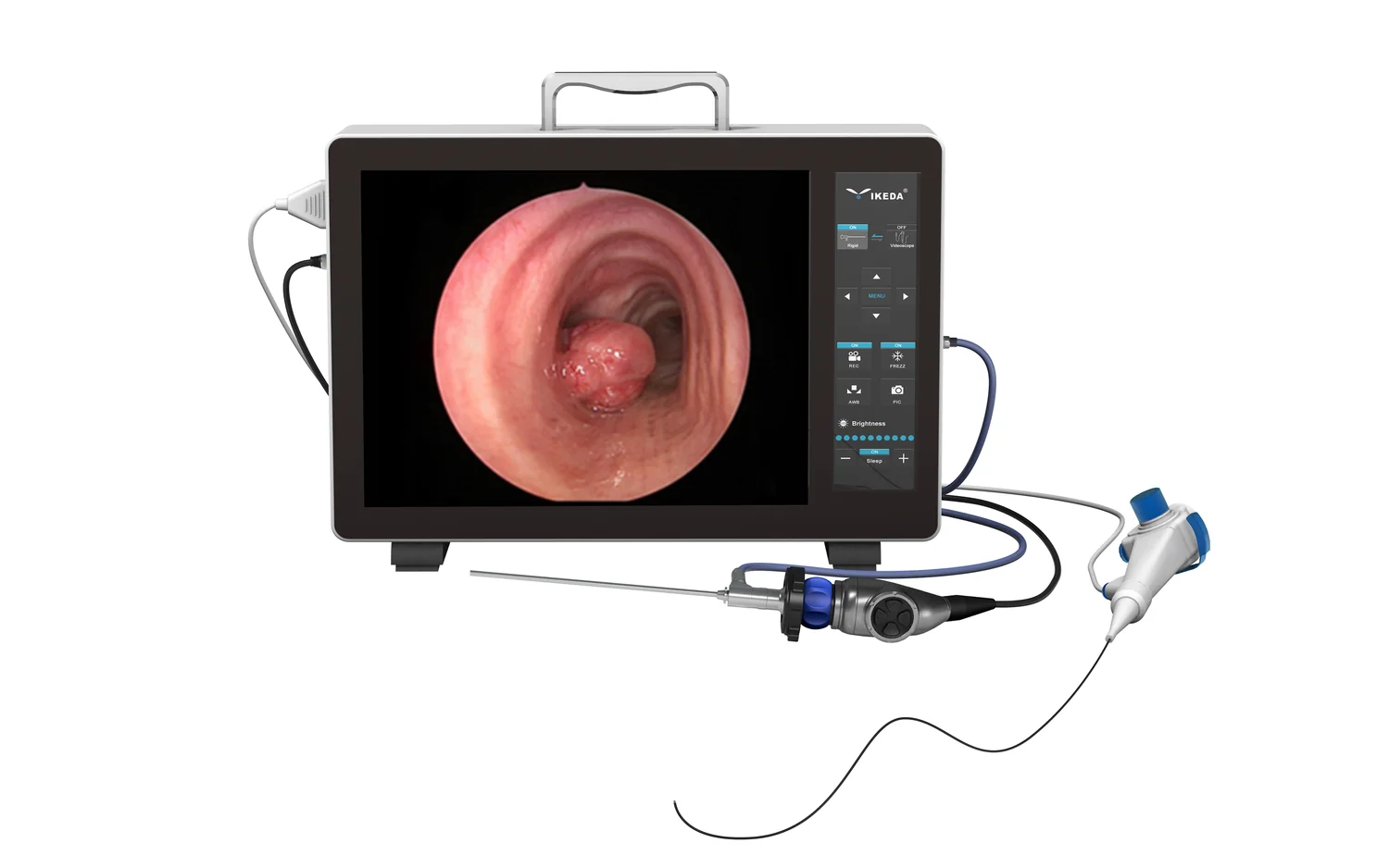 Flexible endoscopy